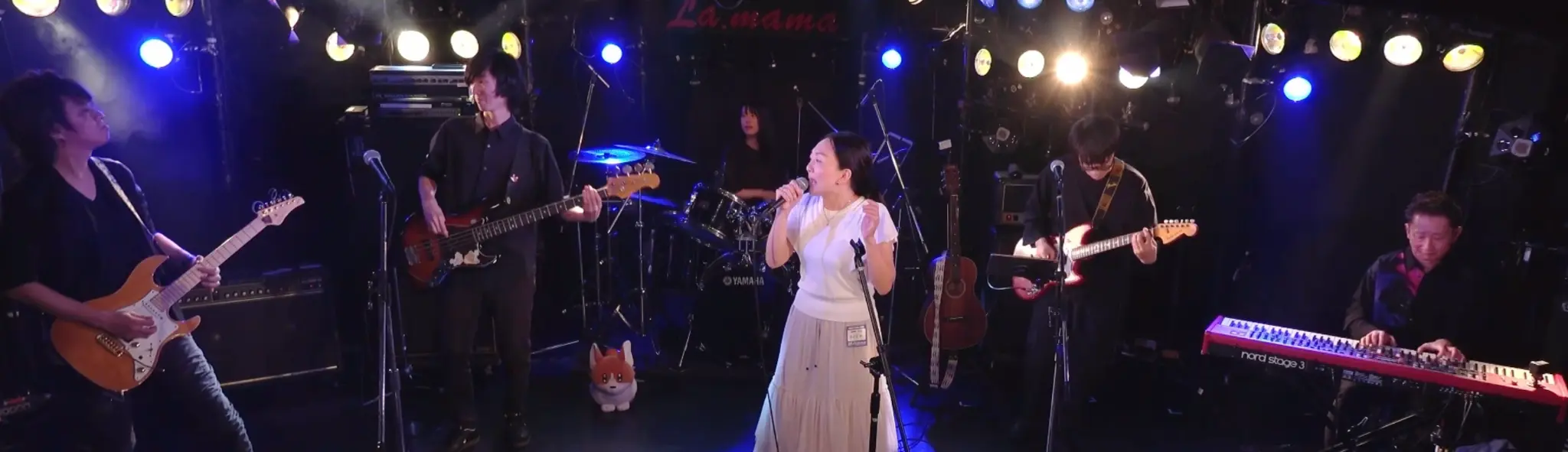 ヨイシカ ライブ